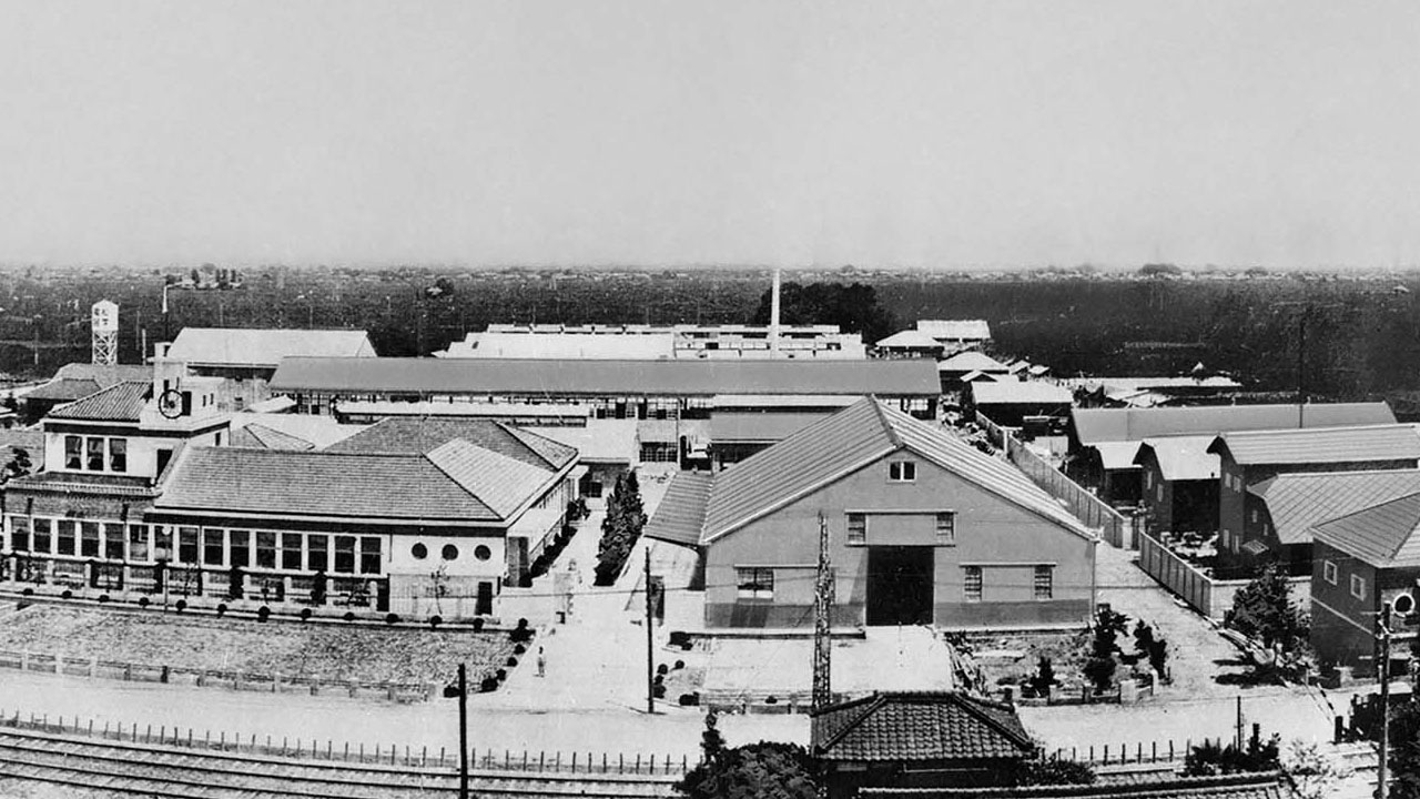 Lịch sử phát triển